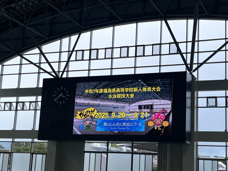 県新人